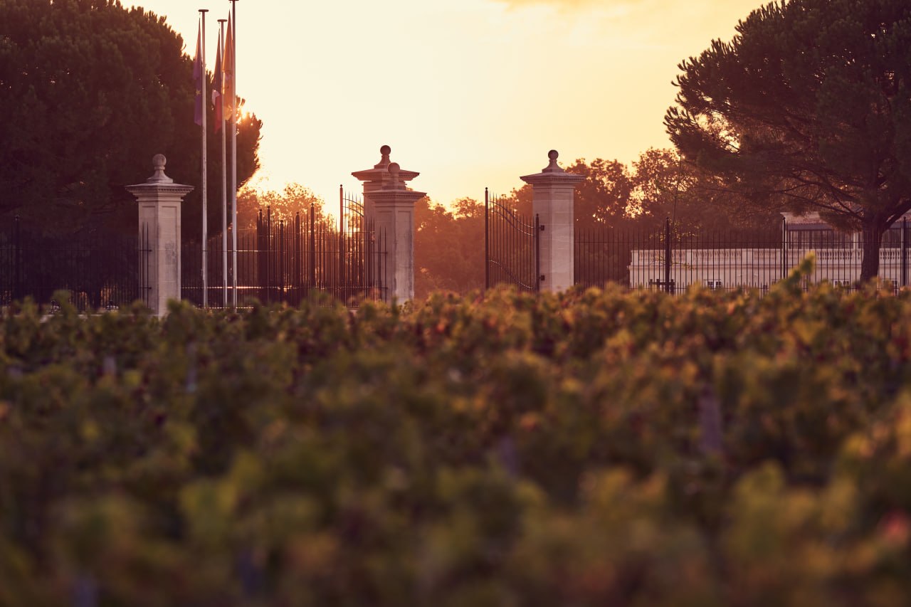 Estate gates at sunset with vineyards in the foreground